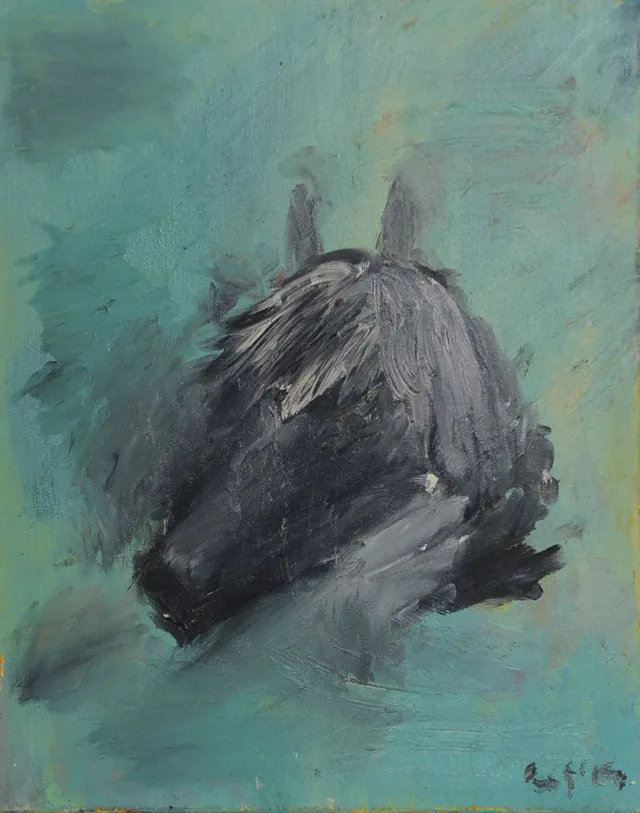 Horse 4